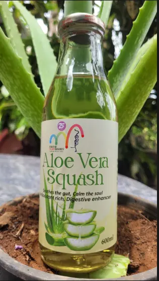 ALOE VERA SUQUASH